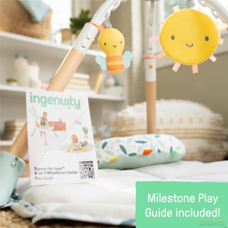 Ingenuity - Tummy to Toesâ˘ 6-in-1 Milestones Center - (IN-16904)