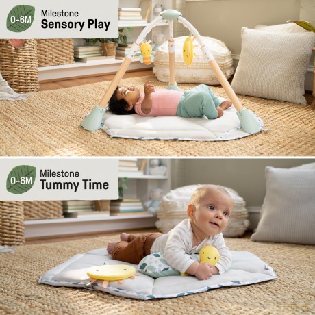 Ingenuity - Tummy to Toesâ˘ 6-in-1 Milestones Center - (IN-16904)