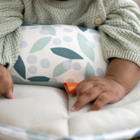 Ingenuity - Tummy to Toesâ˘ 6-in-1 Milestones Center - (IN-16904)