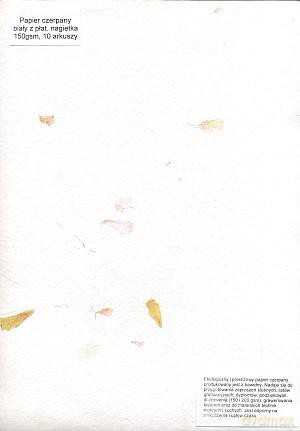 Papier Czerpany A4 P_502 150gsm Biały Z Płatkami Nagietka [SZKOŁA]