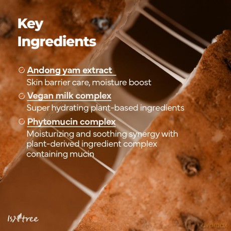 Isntree - Yam Root Vegan Milk Cleanser - 220 ml