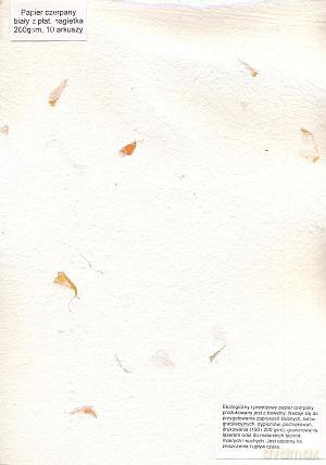 Papier Czerpany A4 P_522 200gsm Biały Z Płatkami Nagietka [SZKOŁA]