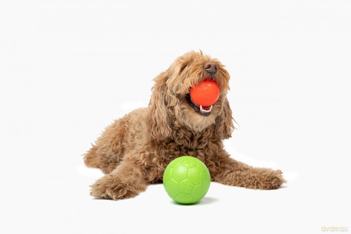 jolly pets - Jolly Soccer Ball - Green - XXS (7.5cm)