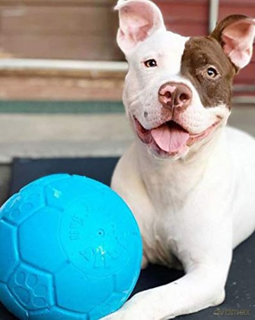 Piłka dla psa jolly pets - Jolly Soccer Ball - Light Blue - L (20cm)