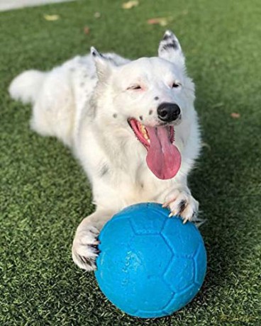 Piłka dla psa jolly pets - Jolly Soccer Ball - Light Blue - L (20cm)