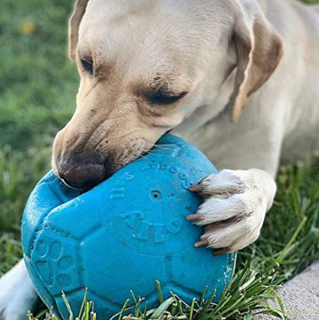 Piłka dla psa jolly pets - Jolly Soccer Ball - Light Blue - L (20cm)