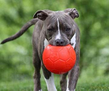 jolly pets - Jolly Soccer Ball - Orange - S (15cm)