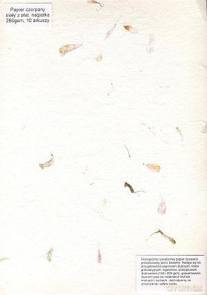 Papier Czerpany A4 P_601 260gsm Biały Z Płatkami Nagietka [SZKOŁA]