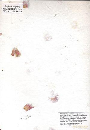 Papier Czerpany A4 P_601 260gsm Biały Z Płatkami Róży [SZKOŁA]