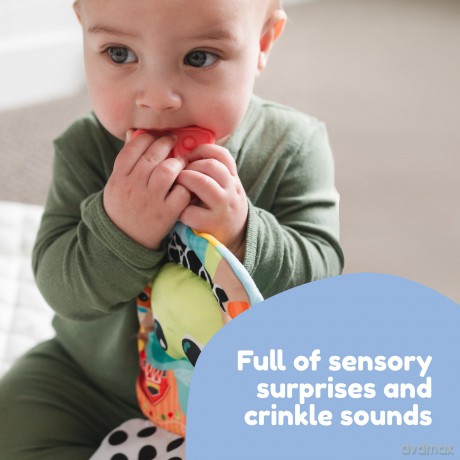 Lamaze - Finlee's Look Book - (941-27649)