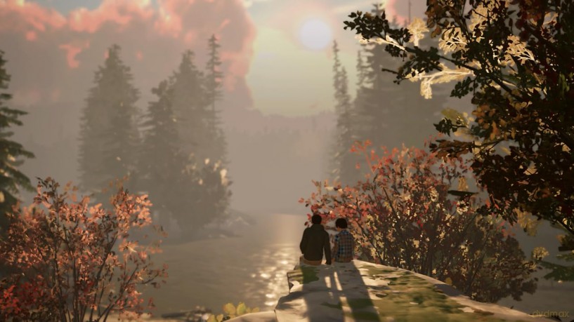 Life is Strange 2 (Code in a Box) [GRA SWITCH]