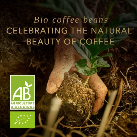 L'OR Capsules - Organic - Coffee Capsules - 10 pcs