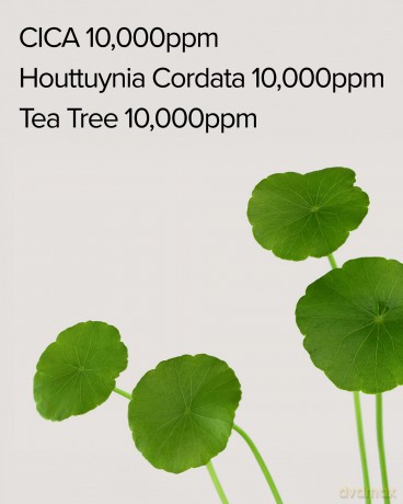 Mary&May - Cica Houttuynia Tea Tree Calming Mask - 30 pcs - 400 ml