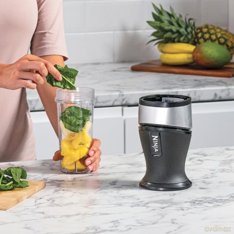 Ninja - Blender & Smoothie Maker