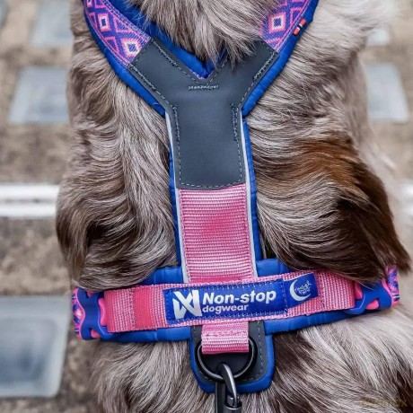 Non-Stop - Line Harness 5.0 - RP Purple/Pink - 4
