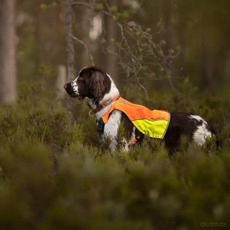 Non-Stop - Protector Vest - Orange - L
