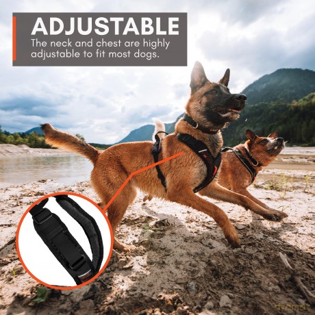 Non-Stop - Rock Harness - Black/orange - L
