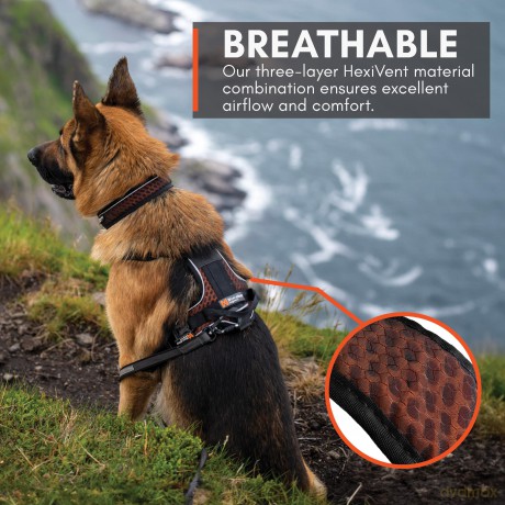 Non-Stop - Rock Harness - Black/orange - S