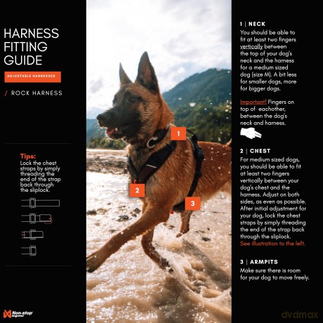 Non-Stop - Rock Harness - Black/orange - S