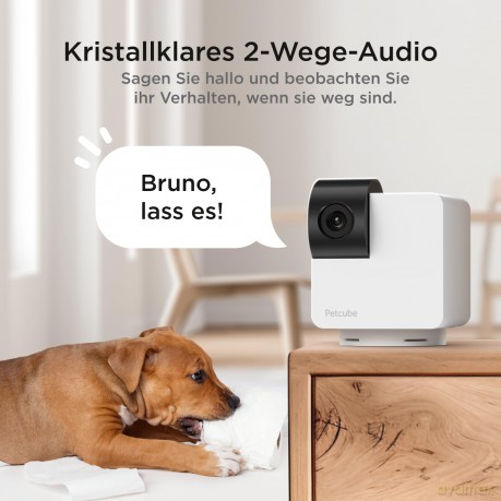 Petcube - Petcube Cam 360 - (854592007523)