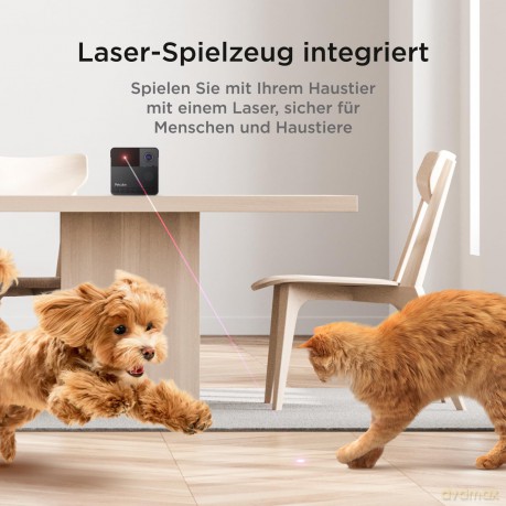 Petcube - PETCUBE PLAY 2 Smart HD pet camera with laser toy, 160Â° camera view - (854592007233)
