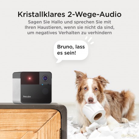 Petcube - PETCUBE PLAY 2 Smart HD pet camera with laser toy, 160Â° camera view - (854592007233)