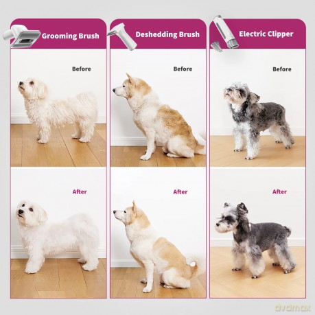 Petkit - Fur Vacuum Grooming Set (DT-5-EU)