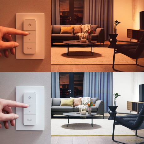 Philips Hue - Fair Hue pendant - White Ambiance