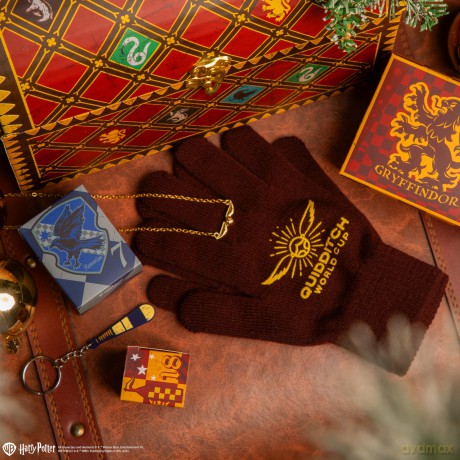 Harry Potter Quidditch Deluxe Kalendarz Adwentowy 2025