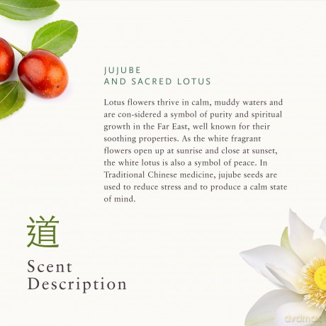 RITUALS - Scented Candle The Ritual of Jing