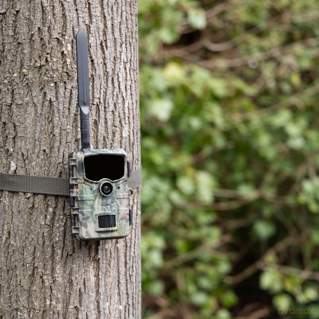 Rollei - Wildlife Camera 4G [SPORT]