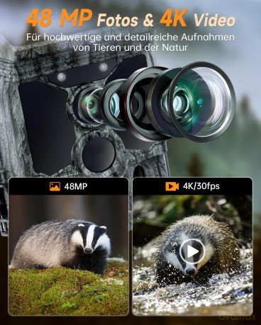 Rollei - Wildlife camera 4K WiFi Solar [SPORT]