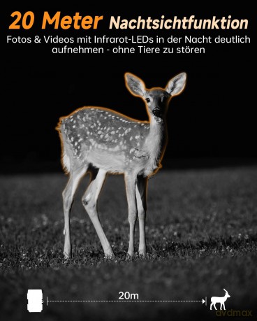 Rollei - Wildlife camera 4K WiFi Solar [SPORT]