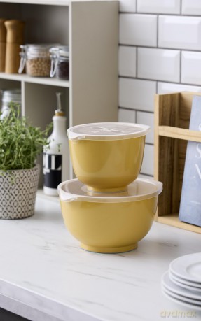 Rosti - NEW Margrethe bowls, Set of 2 + lids - Curry