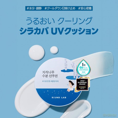 Round Lab - Birch Juice Moisturizing Sun Cushion SPF50+ PA++++ - 15 g