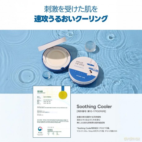 Round Lab - Birch Juice Moisturizing Sun Cushion SPF50+ PA++++ - 15 g