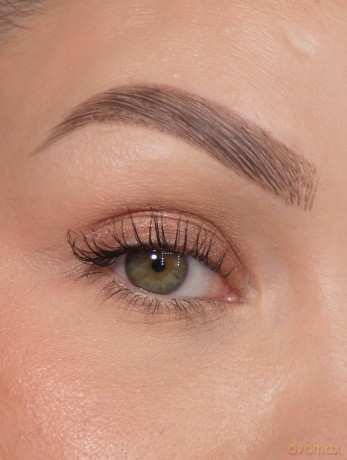 Sandstone Eyeshadow 584 Dark bronze