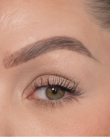 Sandstone Eyeshadow 592 Golden earth