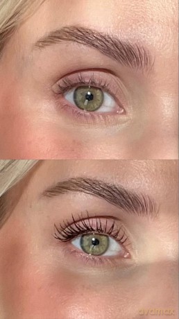 Sandstone Mascara Grand Danois Brun
