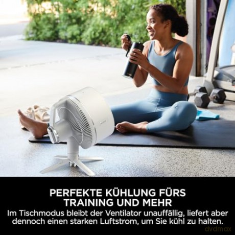 Shark - FA220EU Detached FlexBreeze Ventilator
