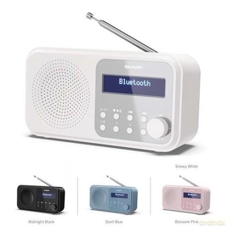 Sharp - Tokyo Portable Digital and FM Radio