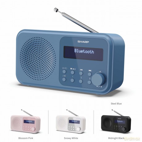 Sharp - Tokyo Portable Digital and FM Radio