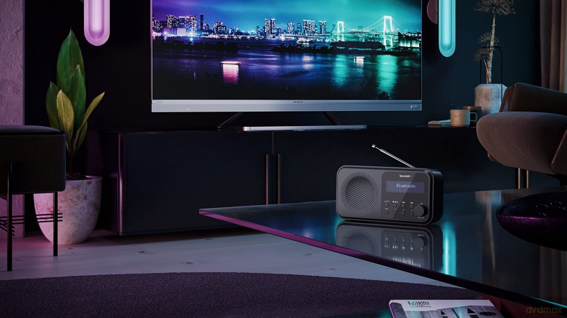 Sharp - Tokyo Portable Digital and FM Radio - Black Midnight