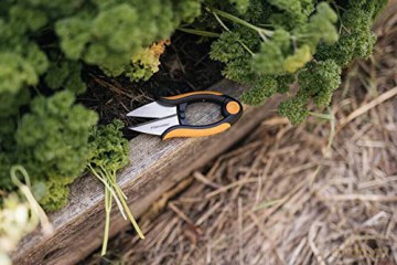 Solid herb snip SP220