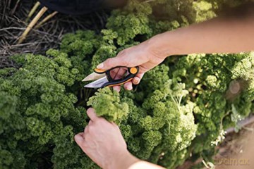 Solid herb snip SP220