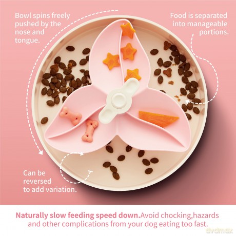SPIN - Starter kit - Interactive Feeder Bougainvillea - Baby pink