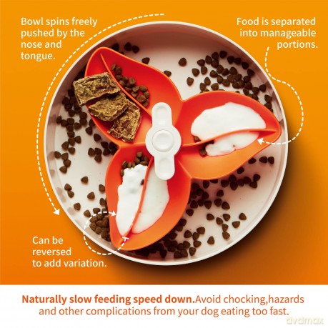 SPIN - Starter kit - Interactive Feeder Bourgainvillea - Orange - Easy