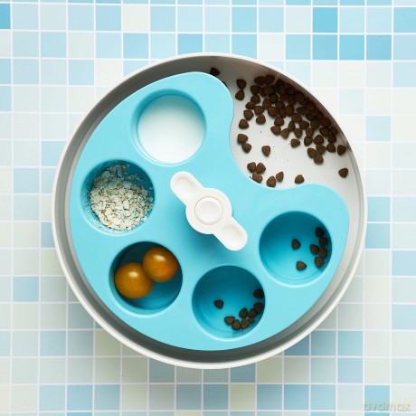 SPIN - Starter kit - Interactive Feeder Palette - Blue - Medium