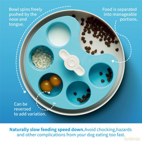 SPIN - Starter kit - Interactive Feeder Palette - Blue - Medium