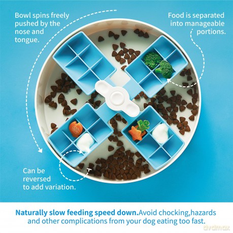 SPIN - Starter kit - Interactive Feeder Windmill - Blue